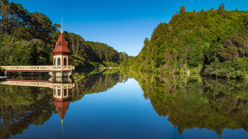 View of the lower valley at Zealandia EcoSanctuary, including Ro