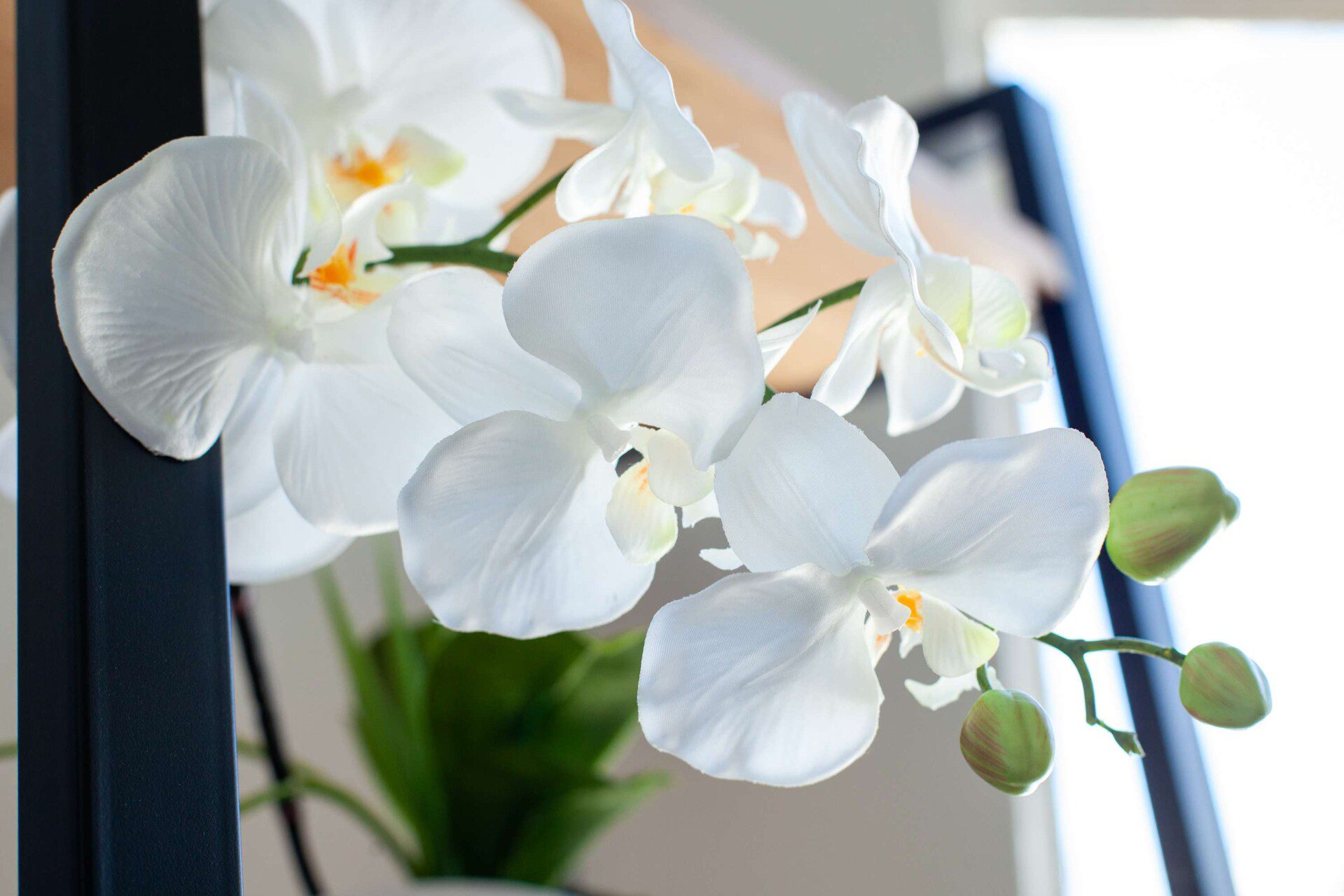 qs7atzk5thlxojyex9oy